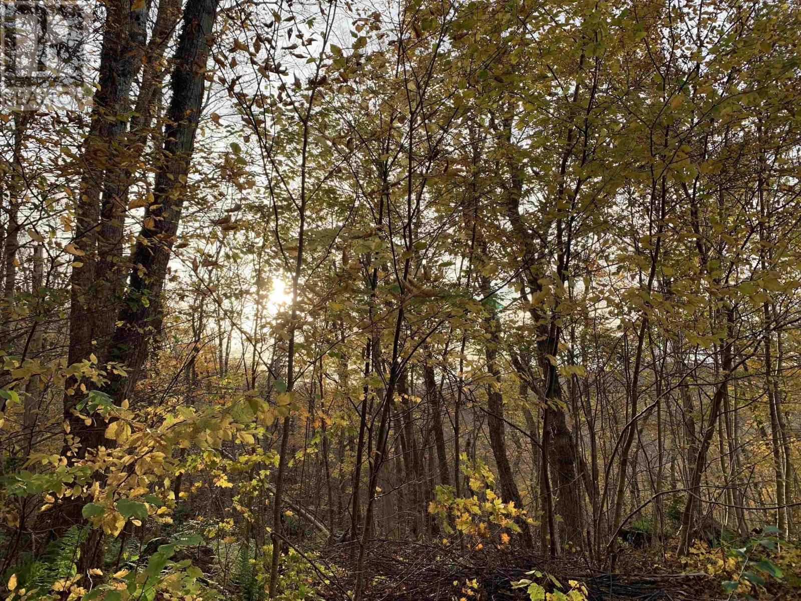 Property 10 of 15 of Lot Whycocomagh-Mabou Road