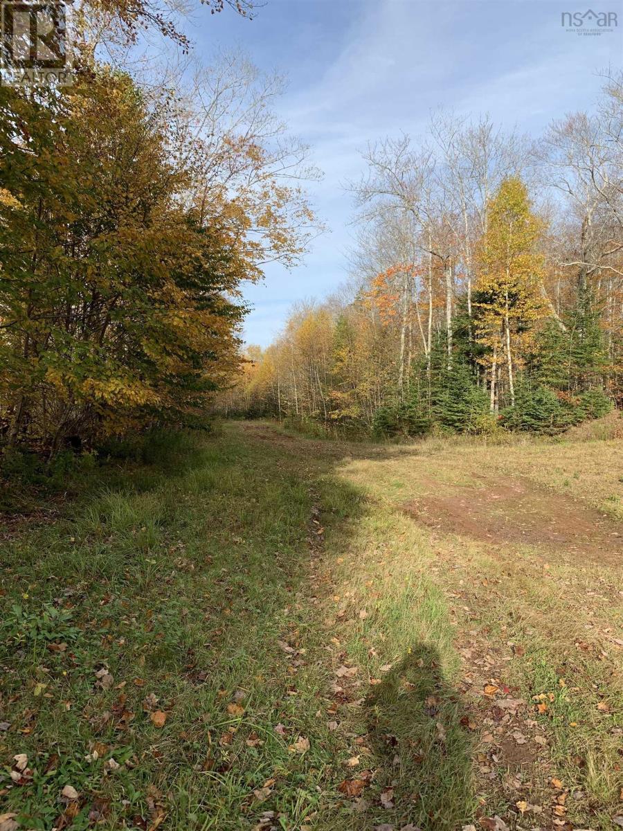 Property 5 of 15 of Lot Whycocomagh-Mabou Road
