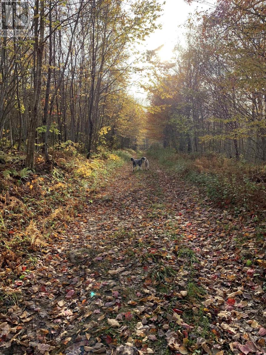 Property 12 of 15 of Lot Whycocomagh-Mabou Road