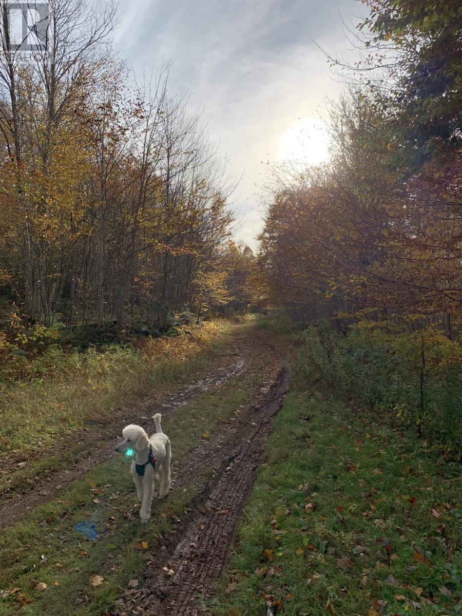 Property 14 of 15 of Lot Whycocomagh-Mabou Road