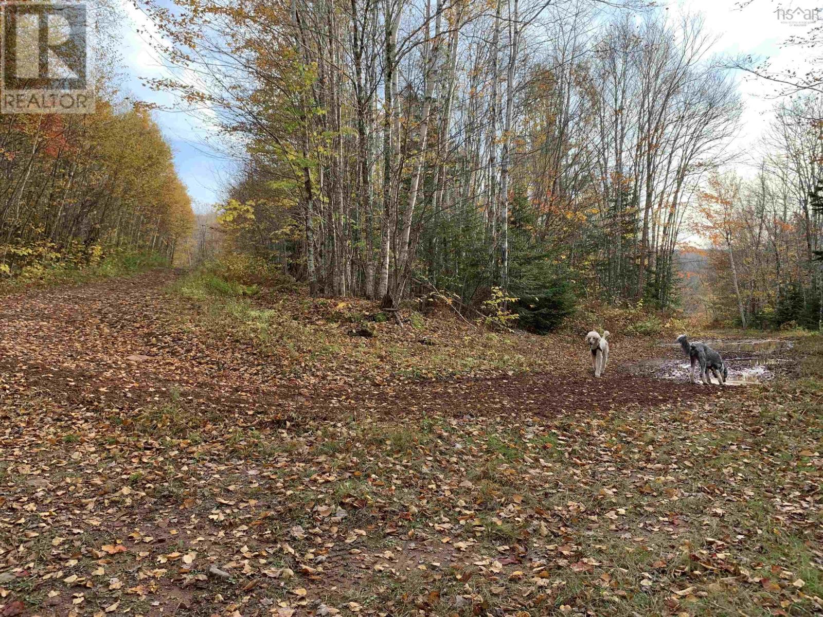 Property 6 of 15 of Lot Whycocomagh-Mabou Road