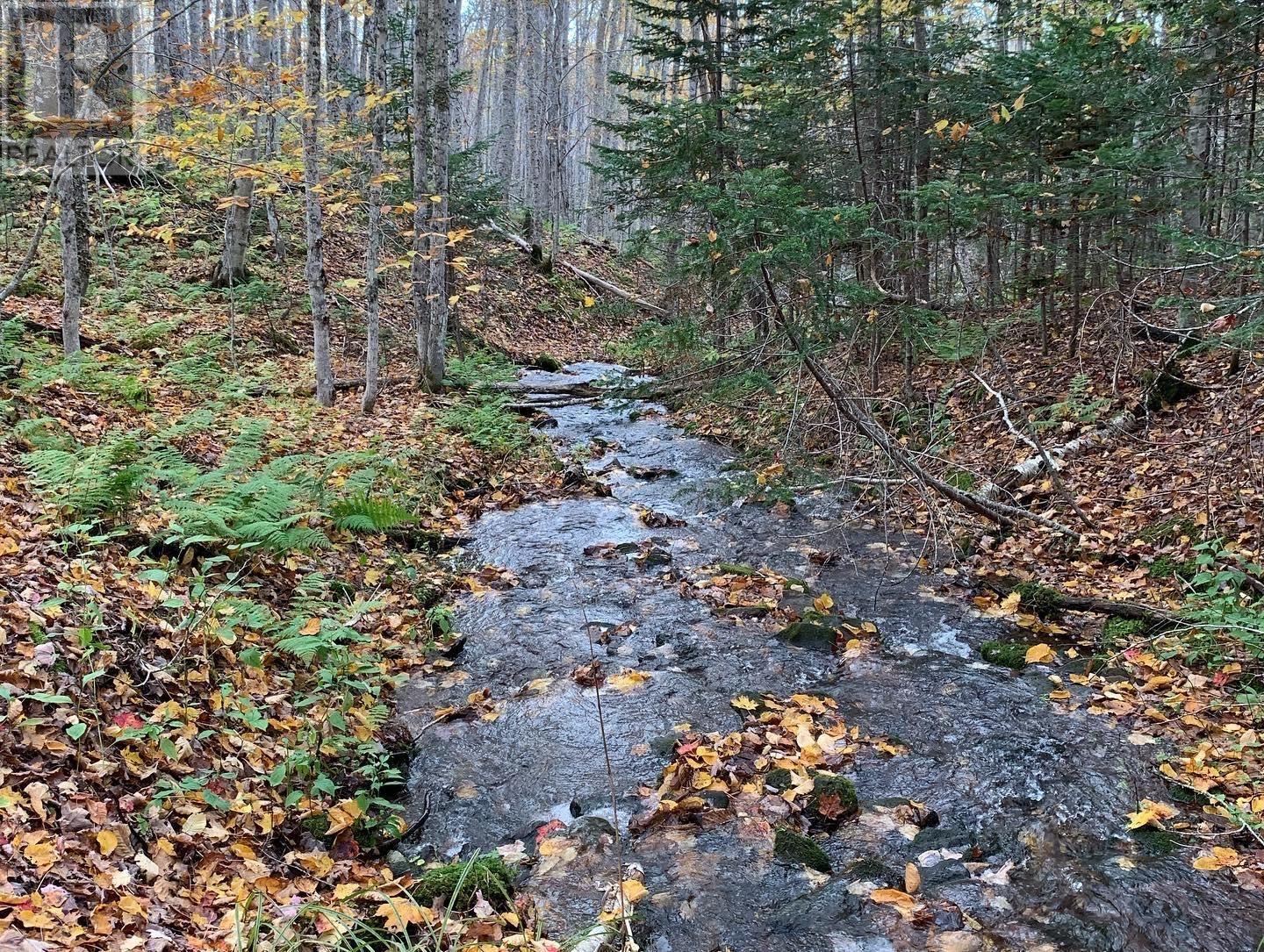 Property 9 of 15 of Lot Whycocomagh-Mabou Road