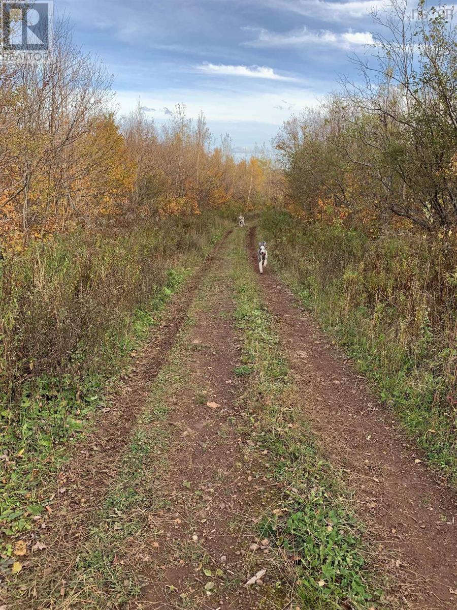 Property 4 of 15 of Lot Whycocomagh-Mabou Road