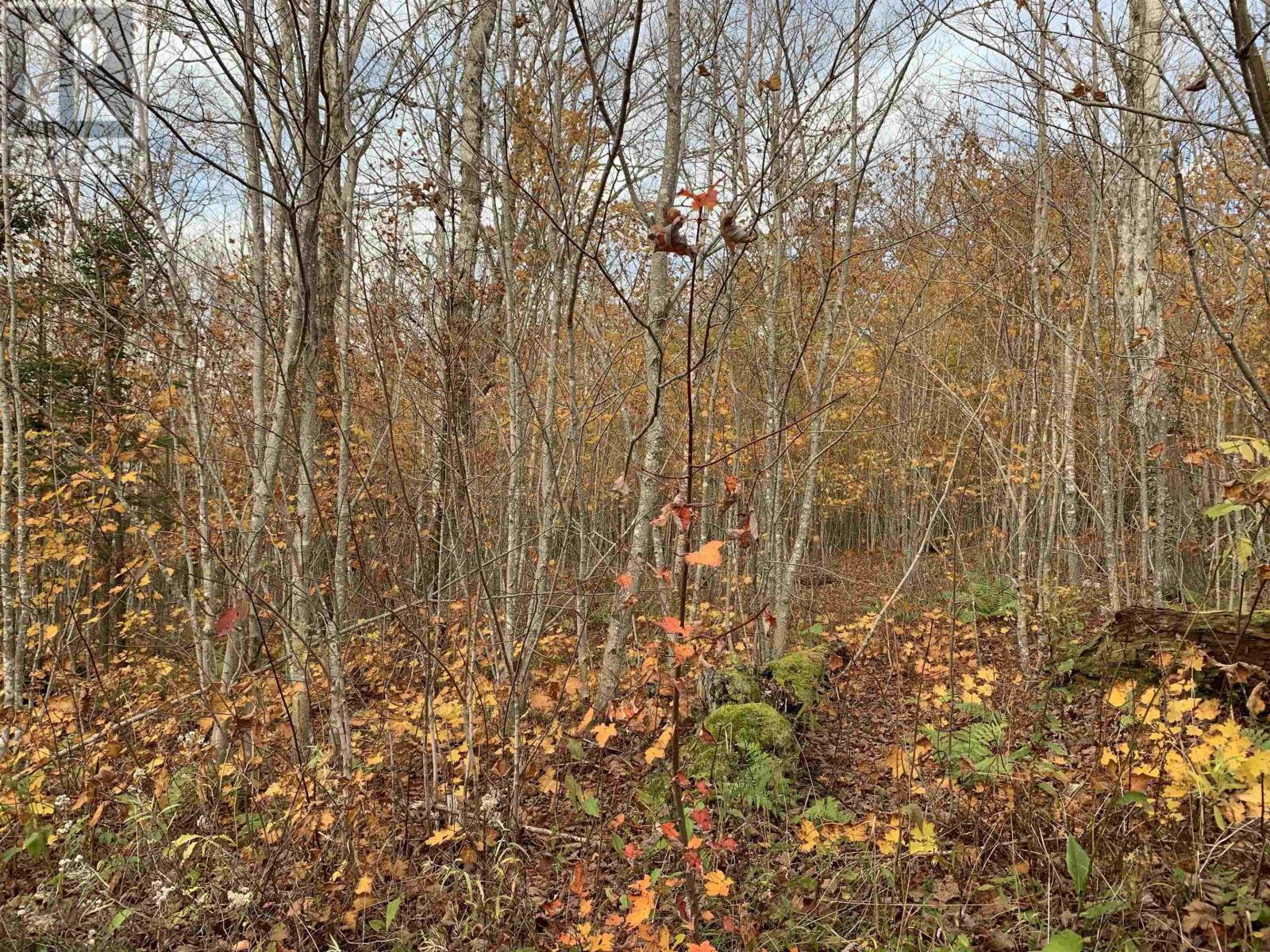 Property 7 of 15 of Lot Whycocomagh-Mabou Road