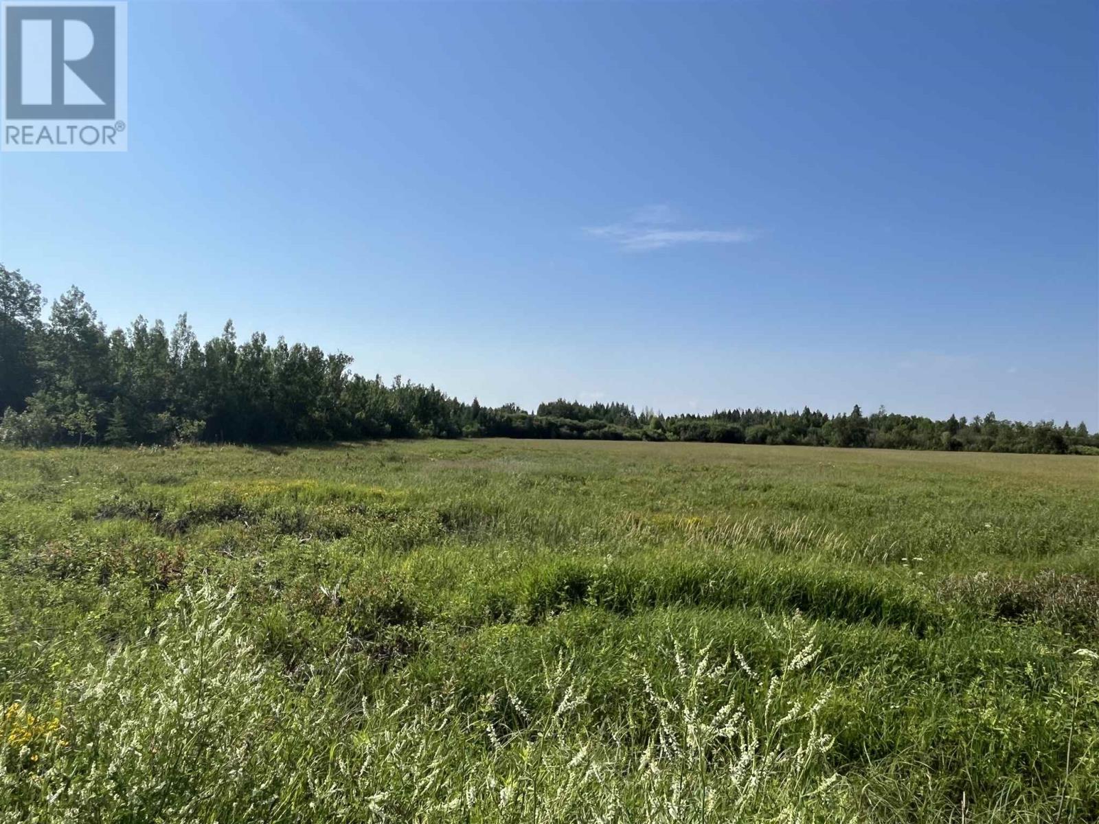 619 CAMERON ROAD - 36