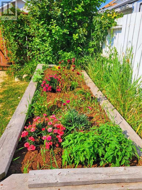 Single Family House Bi-level for Sale in  Inverness Park SE McKenzie Towne Calgary 