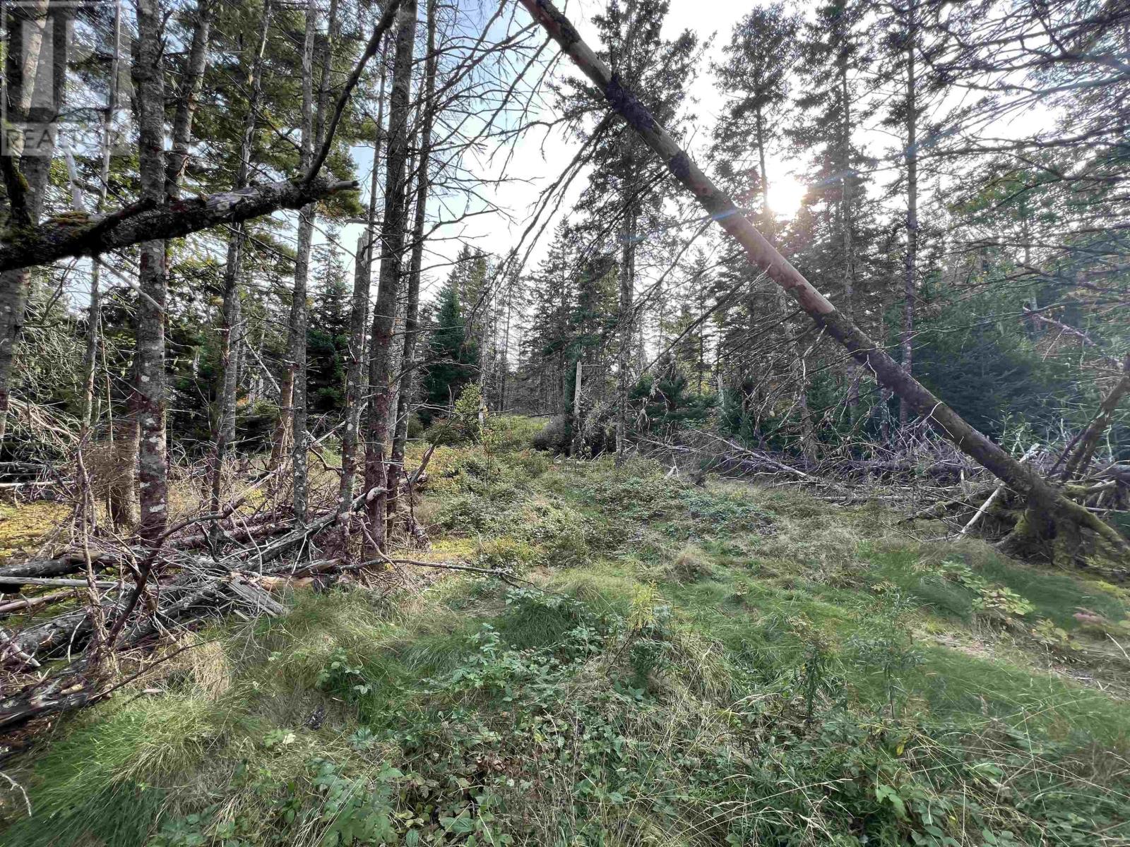 Property 16 of 22 of 390 Conrads Road