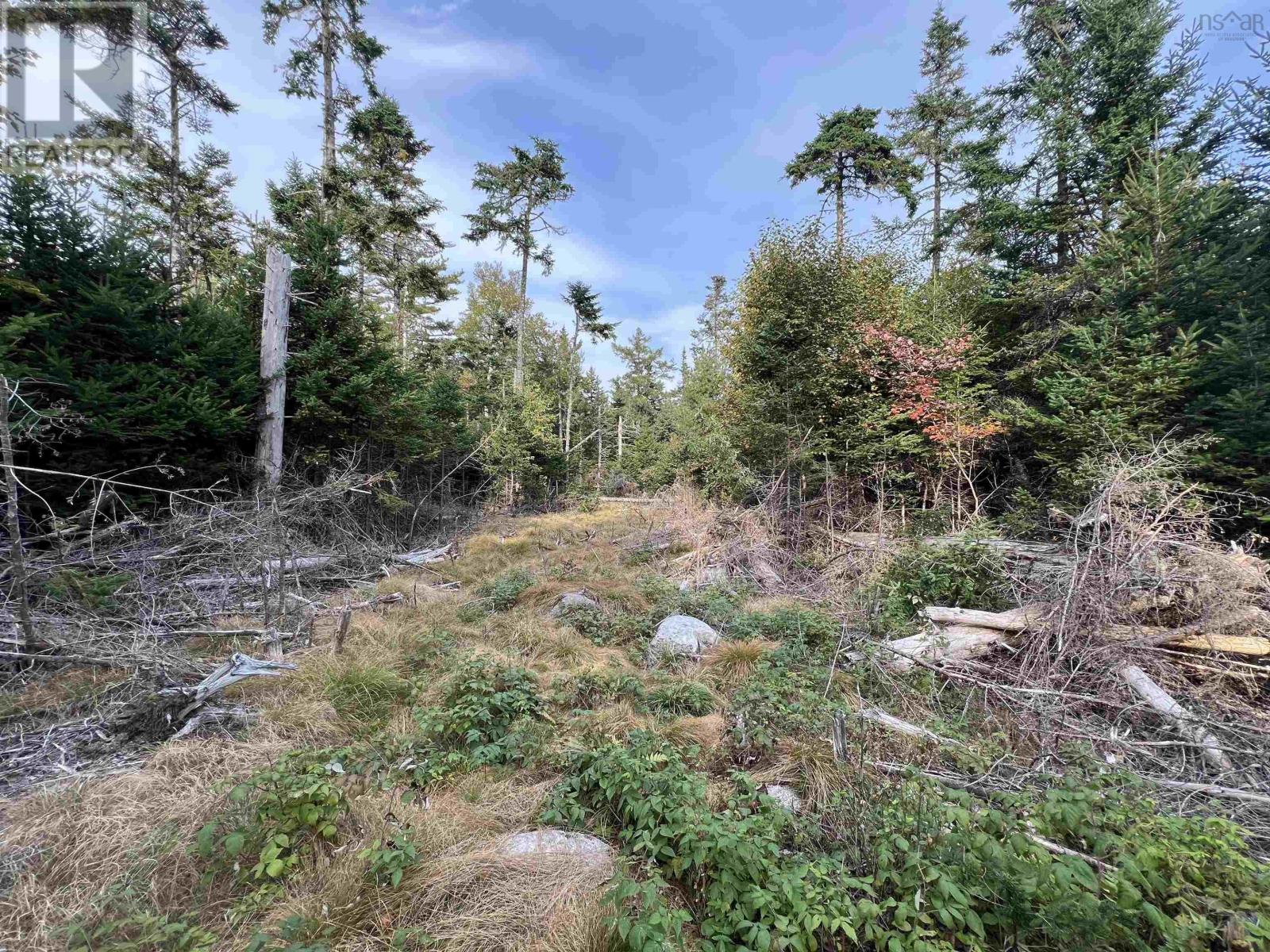 Property 7 of 22 of 390 Conrads Road