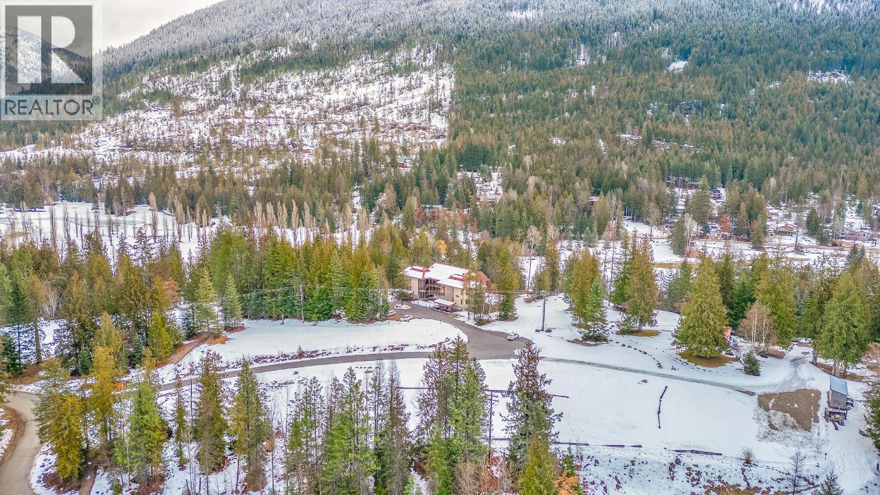 16310 WOOLGAR Road Unit# 223, Crawford Bay