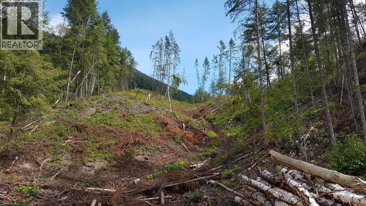 1525 YELLOWHEAD HIGHWAY - 7