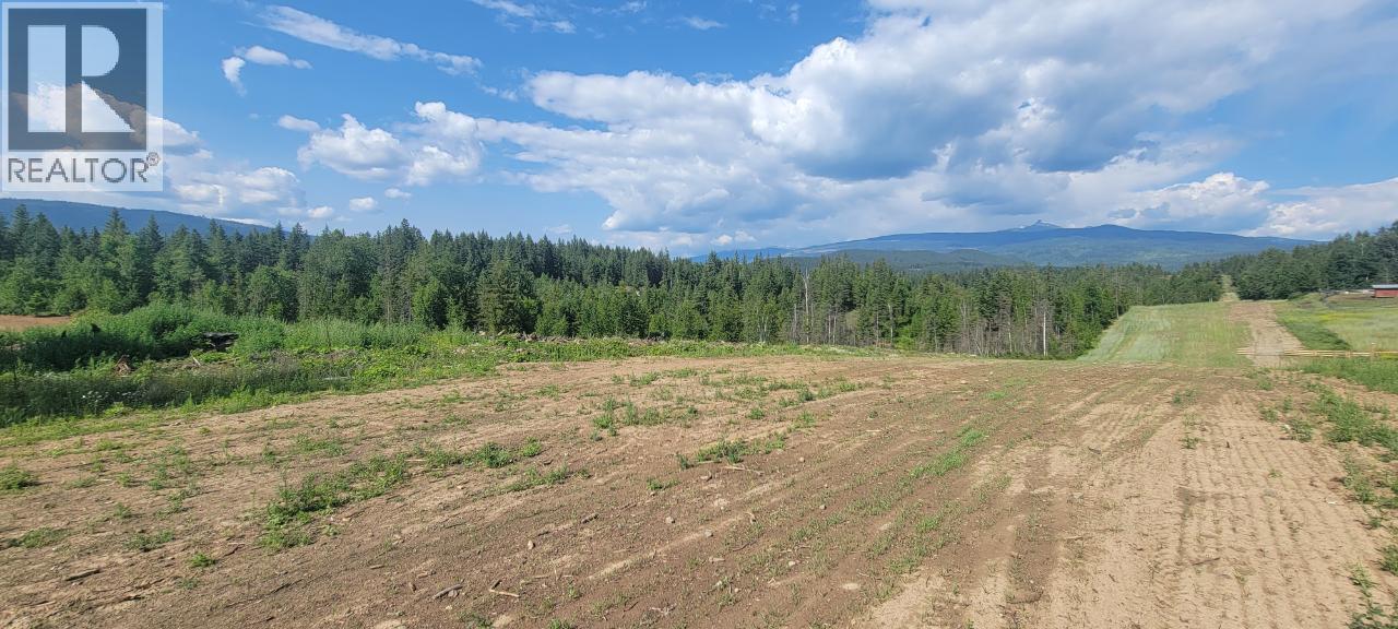 #LOT 1 DL 2620 YELLOWHEAD HIGHWAY - 8