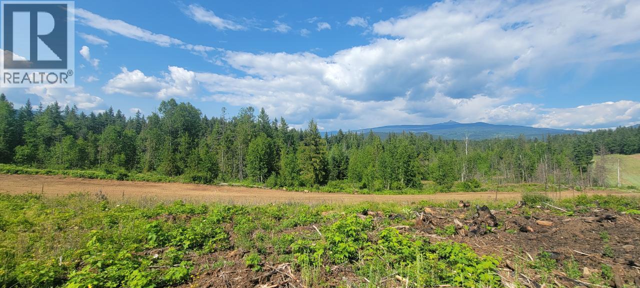 #LOT 1 DL 2620 YELLOWHEAD HIGHWAY - 7