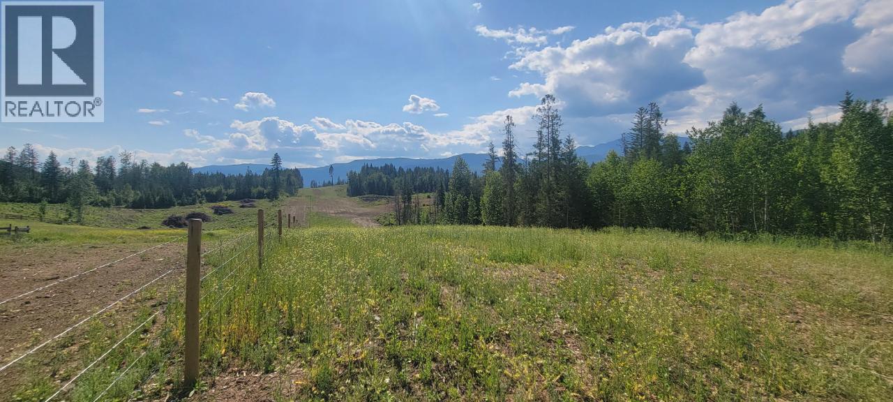 #LOT 1 DL 2620 YELLOWHEAD HIGHWAY - 21