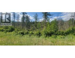 Dl 2620 Yellowhead Highway Unit# Lot 1, Clearwater, BC V0E1N1 Photo 17