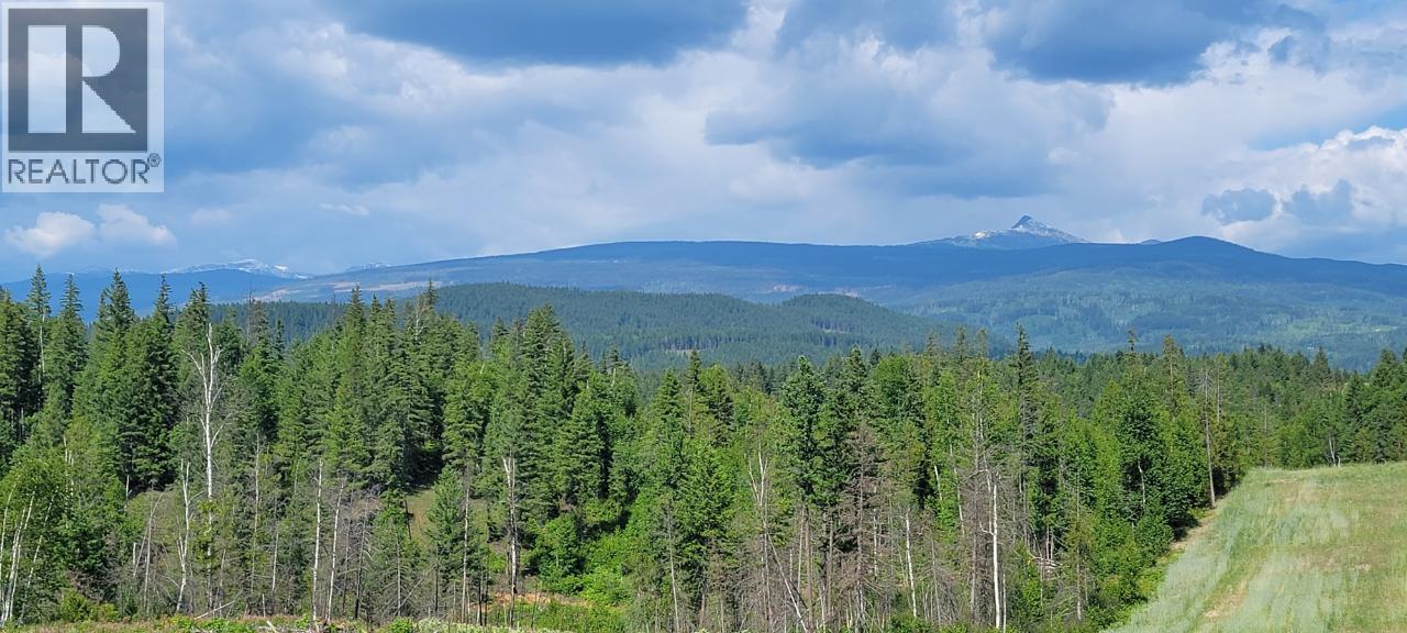 #LOT 1 DL 2620 YELLOWHEAD HIGHWAY - 10