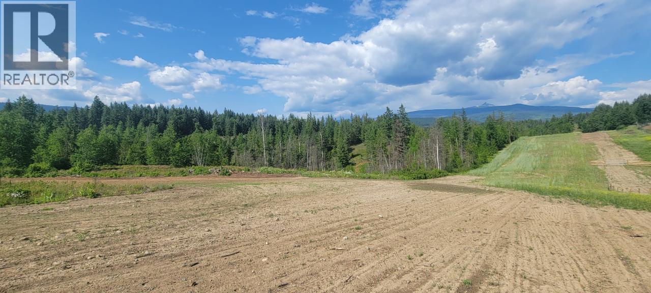 #LOT 1 DL 2620 YELLOWHEAD HIGHWAY - 13