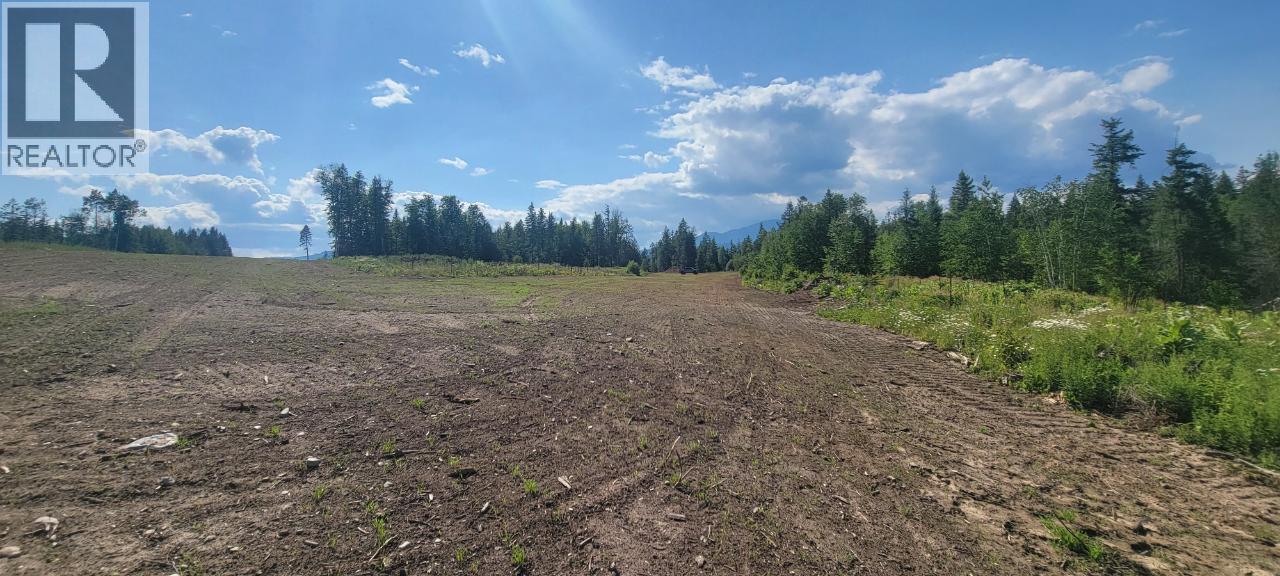 #LOT 1 DL 2620 YELLOWHEAD HIGHWAY - 14