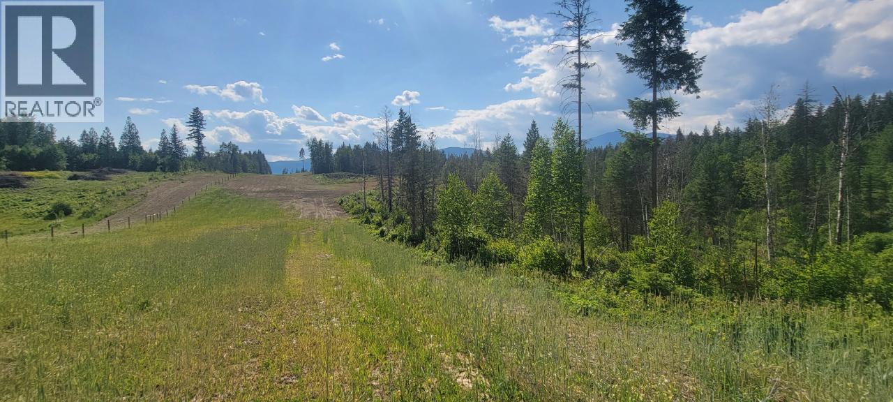 #LOT 1 DL 2620 YELLOWHEAD HIGHWAY - 18