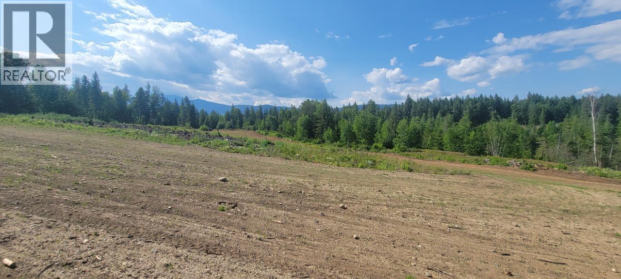 #LOT 1 DL 2620 YELLOWHEAD HIGHWAY - 12