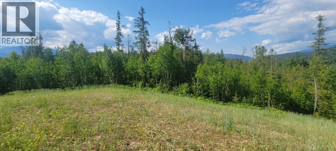 #LOT 1 DL 2620 YELLOWHEAD HIGHWAY - 20