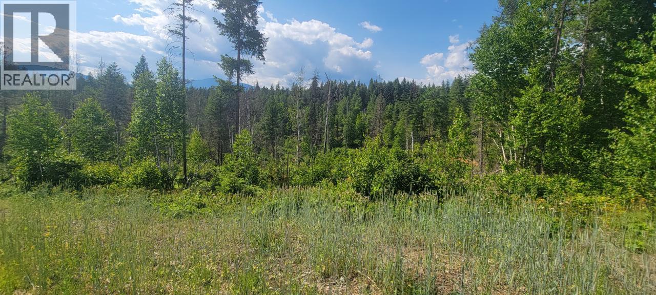 #LOT 1 DL 2620 YELLOWHEAD HIGHWAY - 17