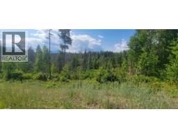 Dl 2620 Yellowhead Highway Unit# Lot 1, Clearwater, BC V0E1N1 Photo 22