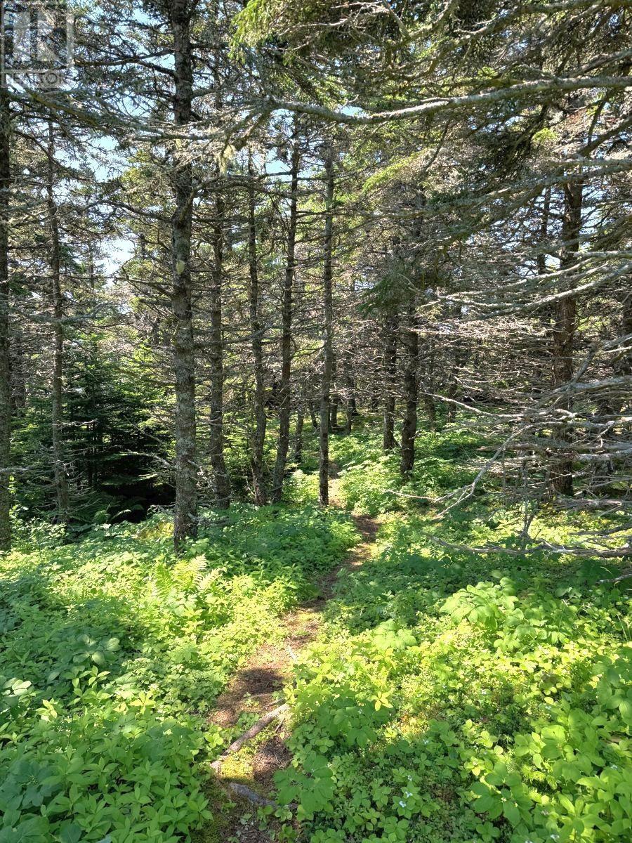 Property 13 of 19 of 1-8 Cape Auguet Road