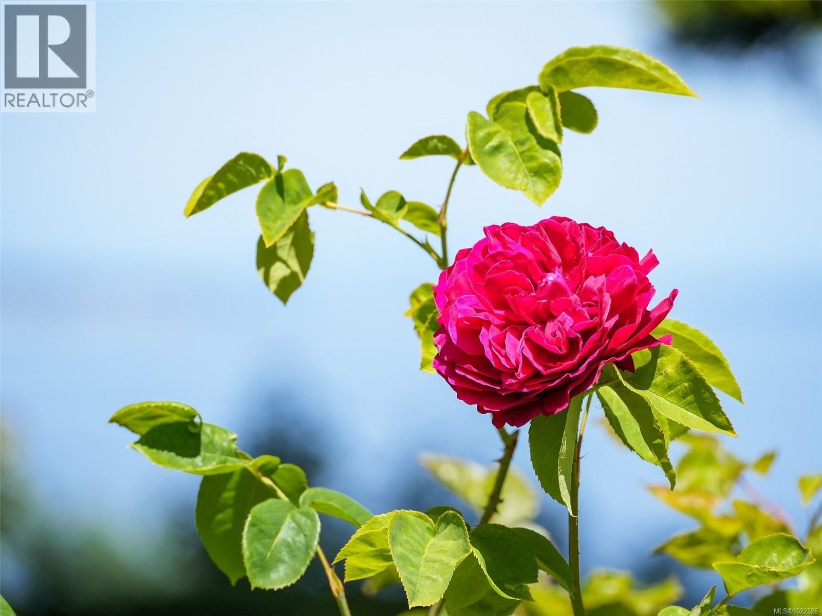 4590 Torquay Dr, Saanich