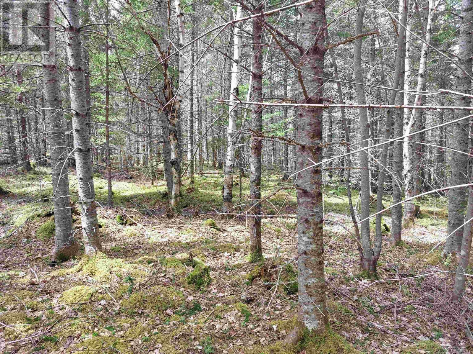 Property 4 of 17 of Lot 14 Jonathan R Bouman Lane