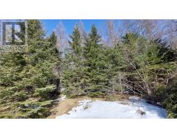 Lot 4 Beaver Ln., Grantville, NS B0E1J0 Photo 17