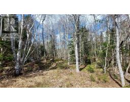Lot 4 Beaver Ln., Grantville, NS B0E1J0 Photo 18