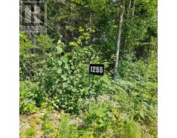 1255 Snake Creek Road, Mattawan, ON P0H1V0 Photo 27