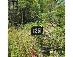 1251 Snake Creek Road, Mattawan, ON P0H1V0 Photo 6