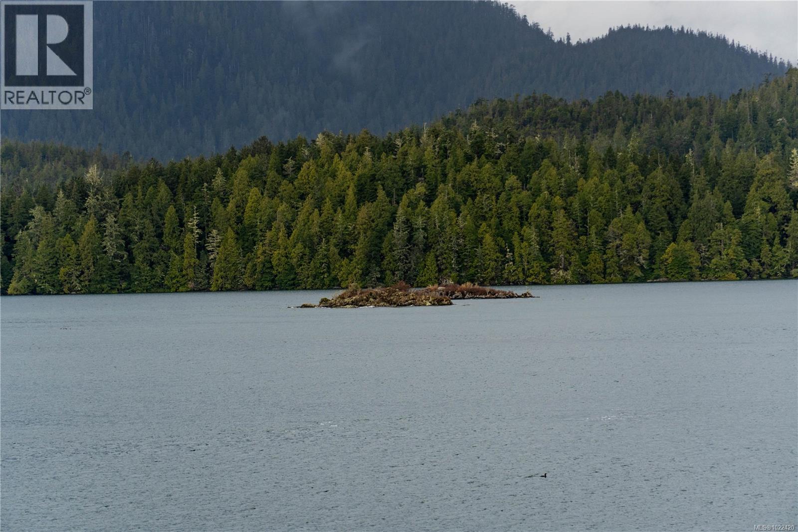 304 368 Main St, Tofino