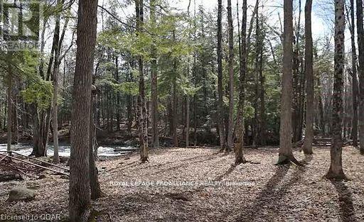 LOT 4 FUTURE LANE - Photo 4 of 7, Stirling-Rawdon (Rawdon Ward), Ontario