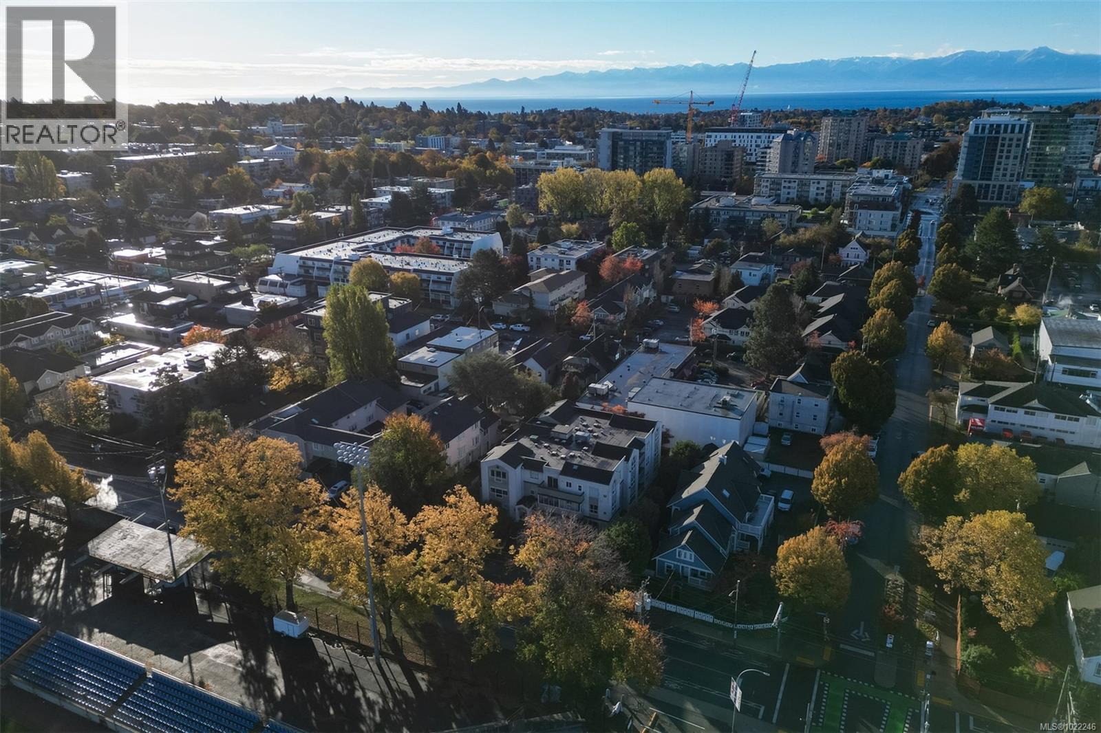 302 1007 Caledonia Ave, Victoria