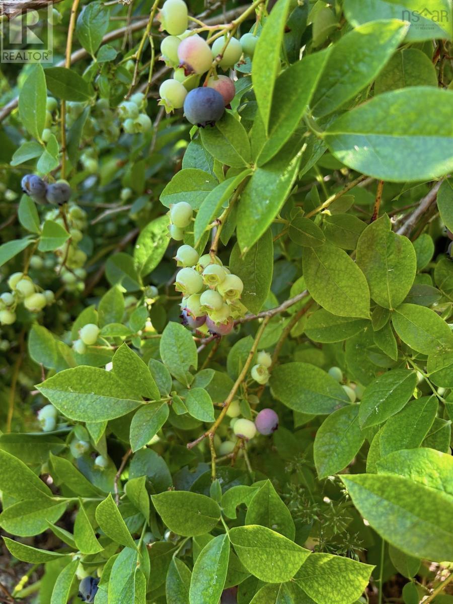 Property 8 of 29 of 142 Gold River Road