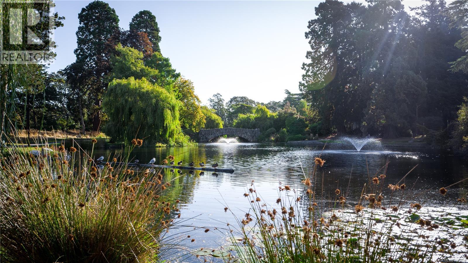 104 420 Linden Ave, Victoria