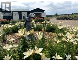 39212a,  Highway 766 Highway, Rural Lacombe County, AB T0M0X0 Photo 45