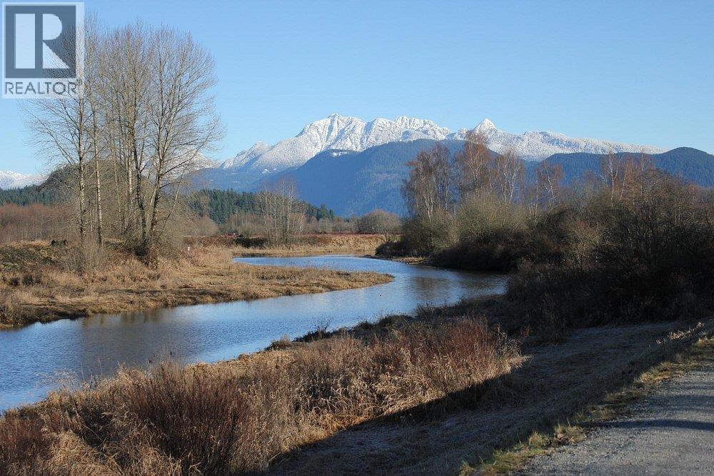 18 2358 RANGER LANE, Port Coquitlam