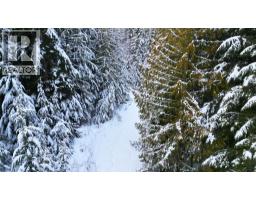 Ls  16 Bastion Ivy Road, Eagle Bay, BC V0E1T0 Photo 9