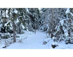 Ls  16 Bastion Ivy Road, Eagle Bay, BC V0E1T0 Photo 12