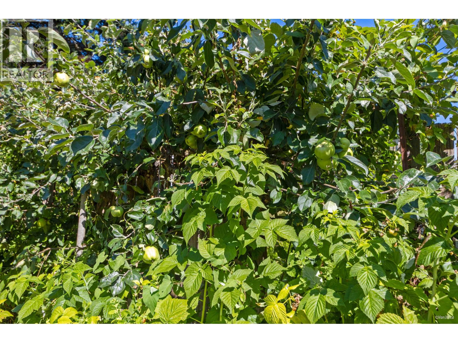 1115 LENORA ROAD, Bowen Island