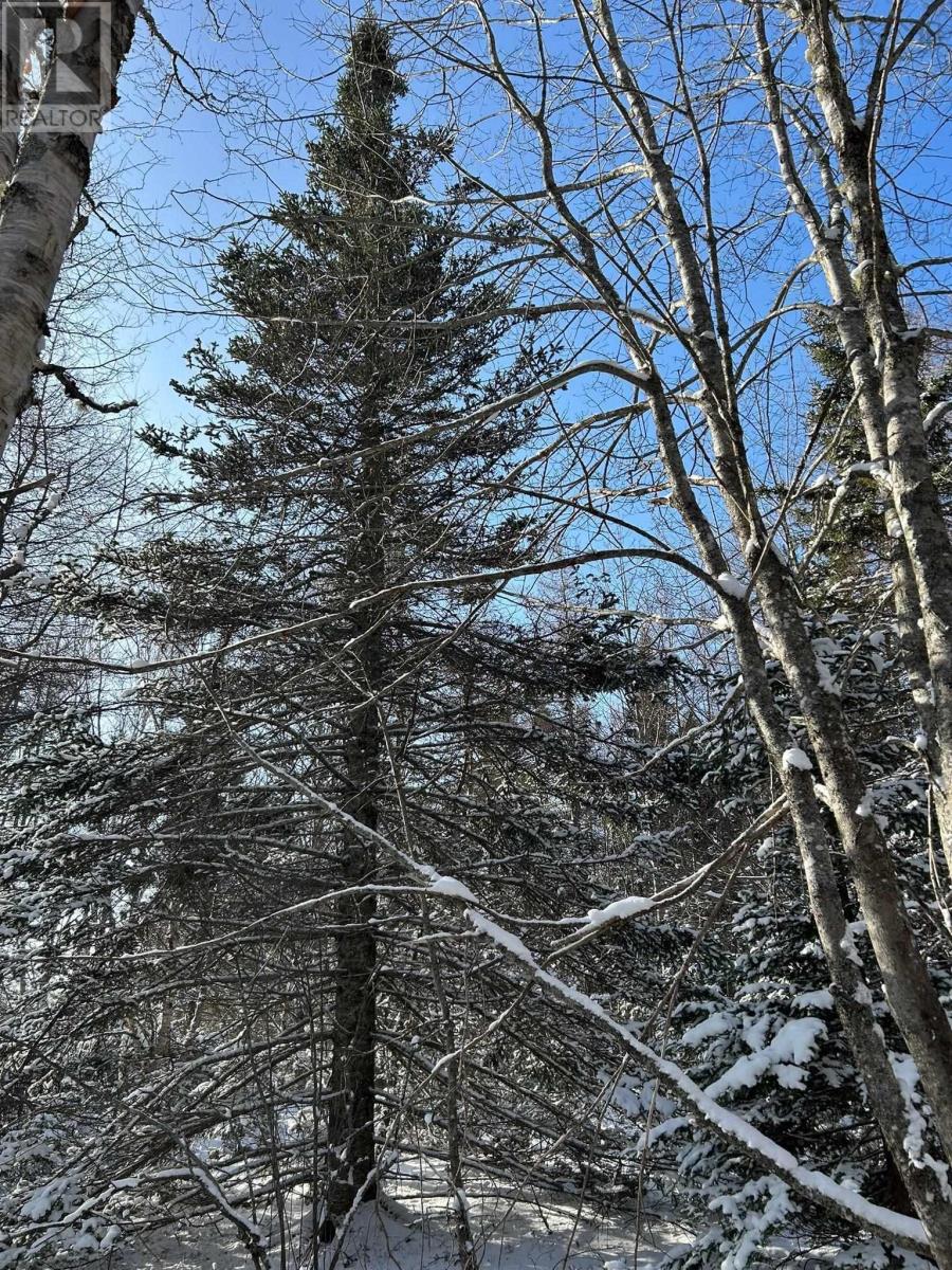 Property 10 of 12 of Lot 11 Lower River Road, Grantville