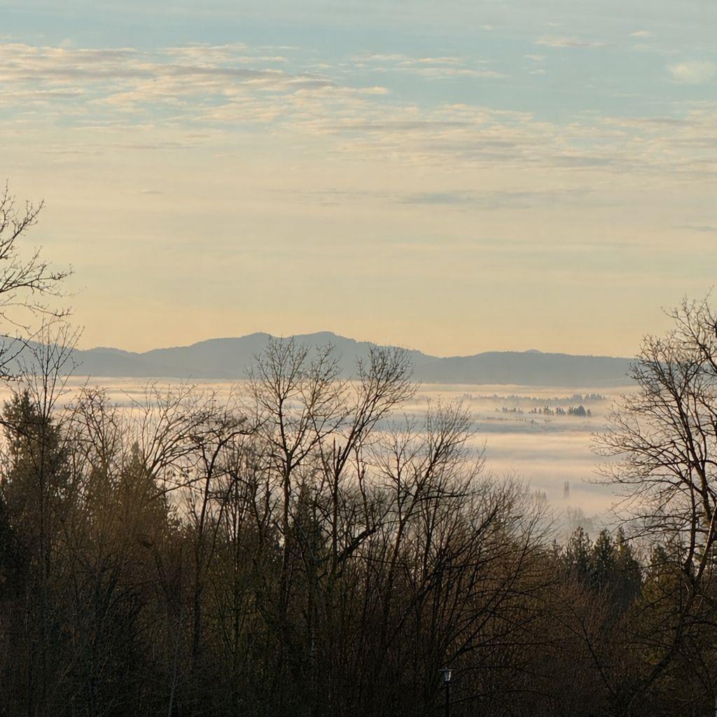 10 33929 BARKER COURT, Mission