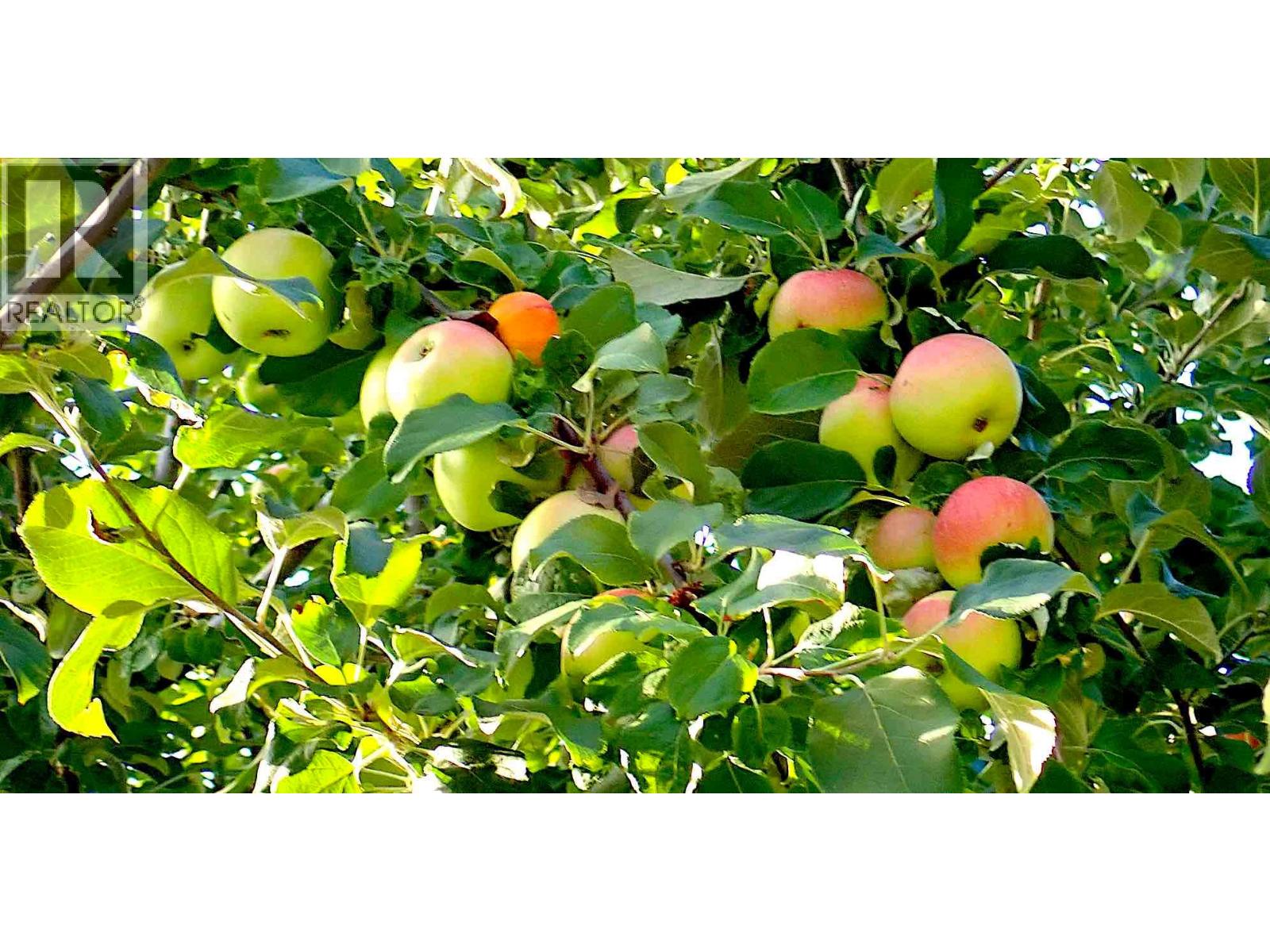  409 Polson Avenue, Enderby