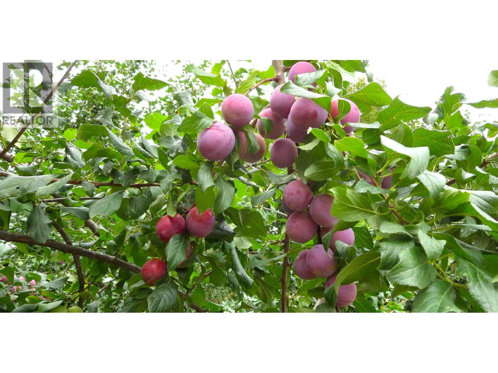  409 Polson Avenue, Enderby