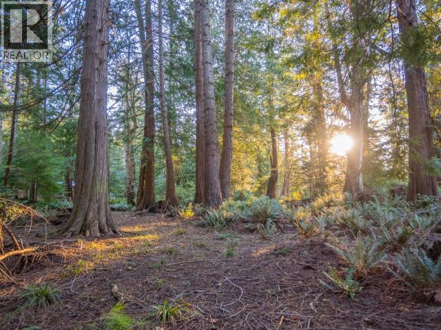 1136 HERCHMER ROAD, Savary Island