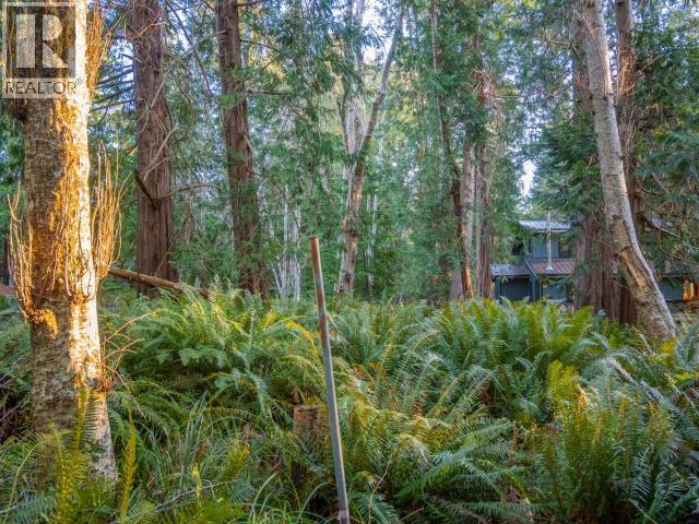 1136 HERCHMER ROAD, Savary Island