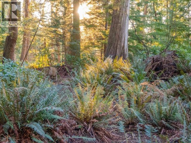 1136 HERCHMER ROAD, Savary Island